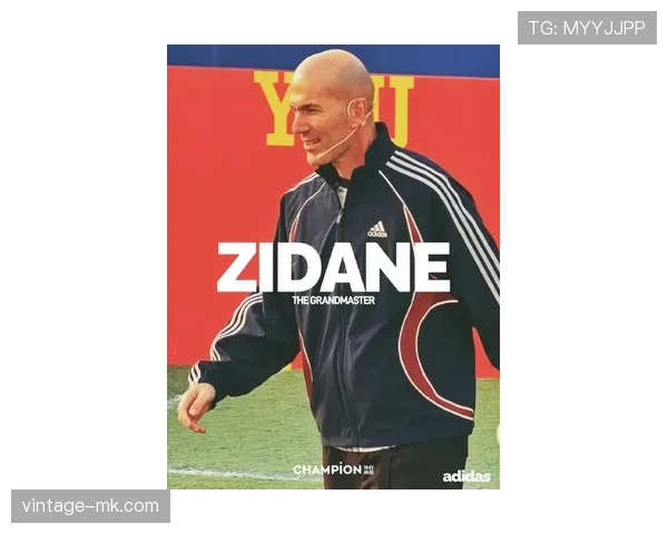 齐达内再现巅峰技艺，欧洲杯赛场折射巨星复苏