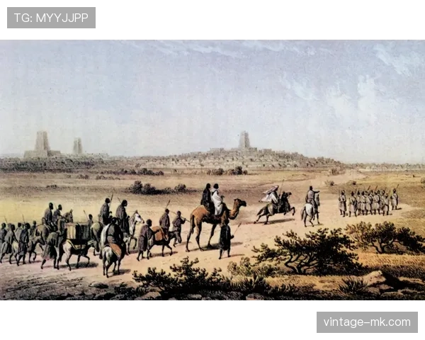 马里逼抢体系 马里逼抢体系